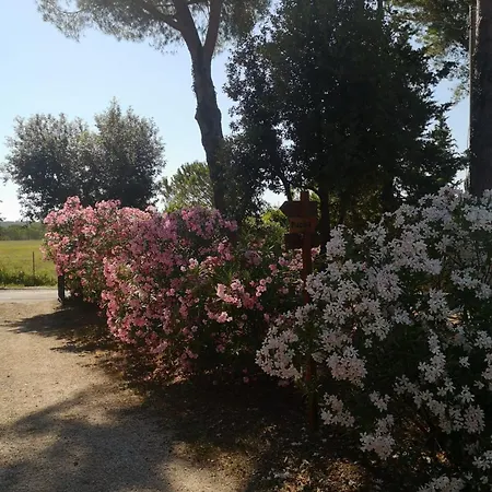 Podere Simonetta - A11 * Cecina (Livorno)